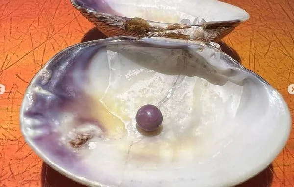 花619元吃蛤蜊！22歲女咬到「詭異硬物」　竟是價值13萬元紫珍珠。（圖／翻攝自Instagram／natyfrelu）