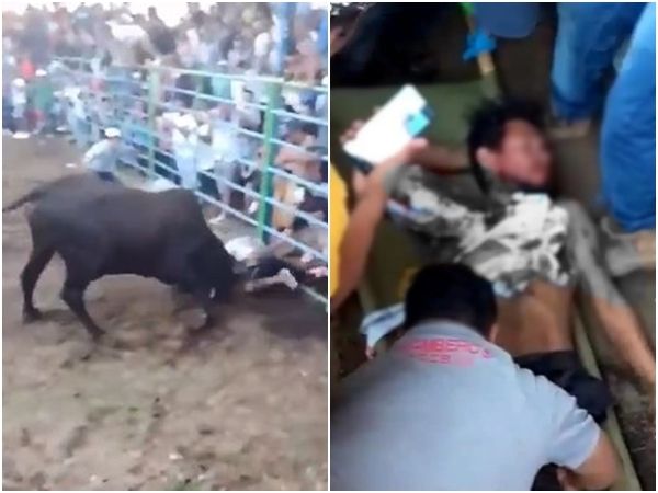 ▲▼尼加拉瓜一名男子看鬥牛賽時翻越圍欄，當場遭公牛刺穿小腿。（圖／翻攝自推特@nuevaya、@canaltn8）