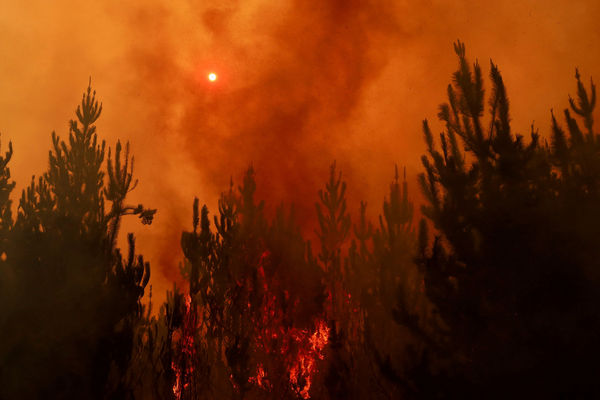 ▲▼智利受夏季熱浪侵襲，4日起傳出森林大火。（圖／路透）