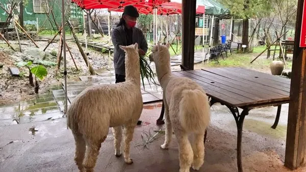 ▲新北落實動物保護政策 動物展演場所評鑑出爐。（圖／新北市動保處提供）