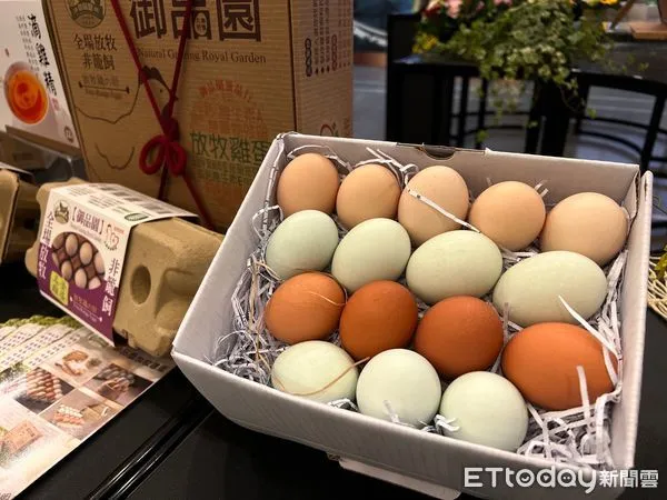 ▲國內蛋價議題持續延燒。（圖／記者楊惠琪攝）