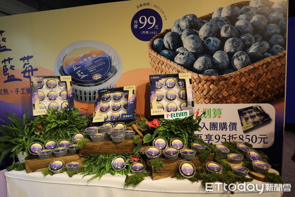 ▲▼ 阿里山產地直送！「山丘藍」台灣藍莓正式登場   。（圖／嘉義縣政府提供）