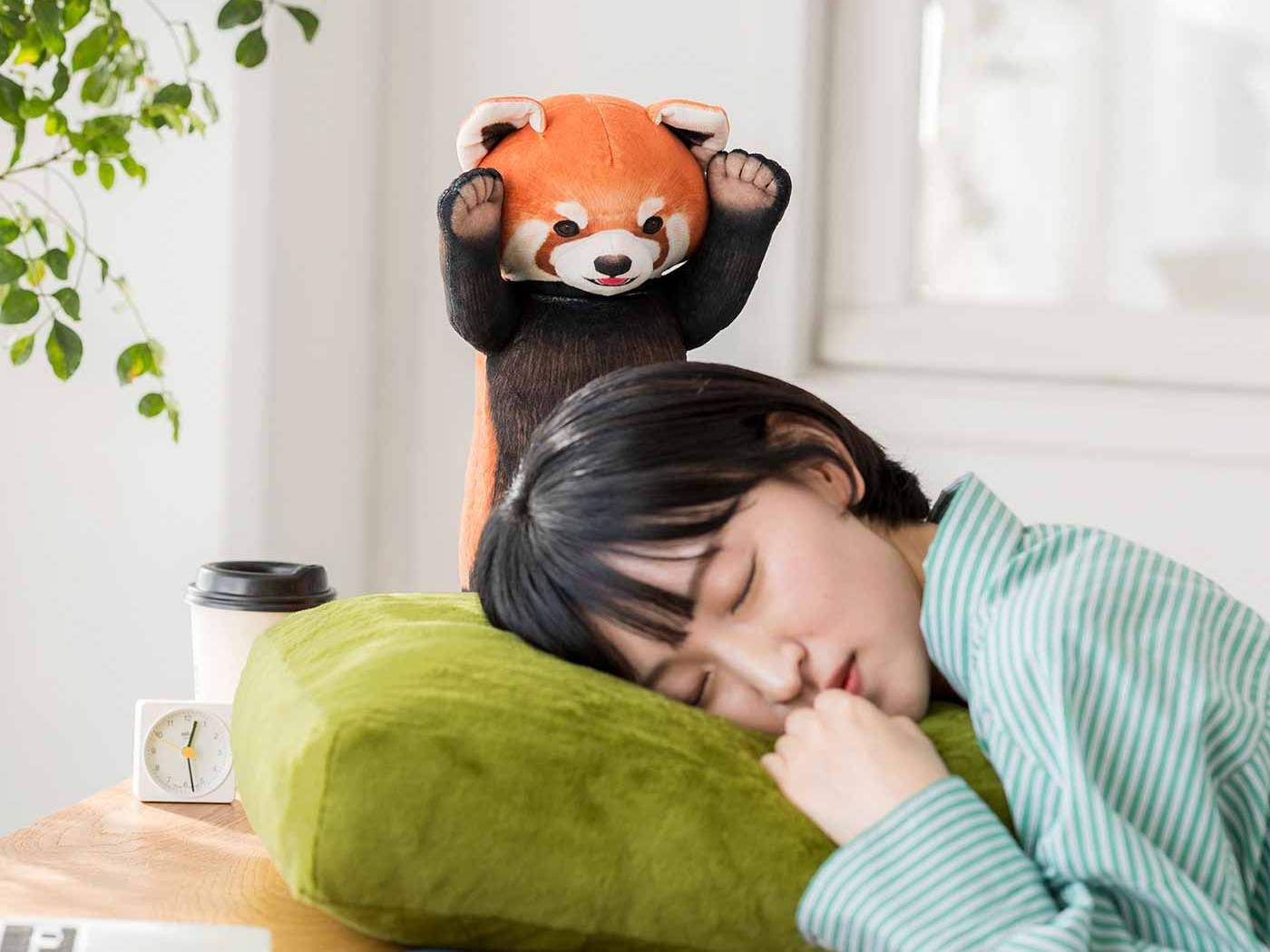 ▲日本最新「小熊貓抱枕」超萌威嚇動作。（圖／翻攝自官網）