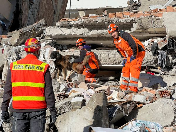 ▲瑞士搜救犬支援土耳其　穿梭倒榻大樓「嗅到人氣味」救出4生還者。（圖／翻攝自Facebook／REDOG - Such- und Rettungshunde）