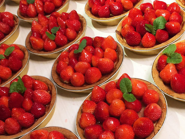 ▲草莓採果趣及手作樂,內湖21家草莓園。（圖／北市產發局提供）
