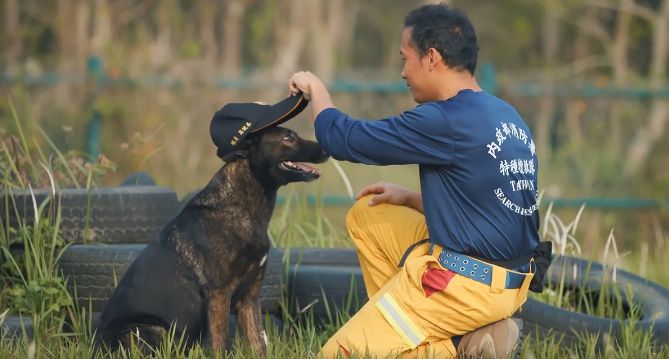 ▲搜救犬阿蘭（Lan）。（圖／粉專「Tyfd-K9桃園搜救犬隊、周欣維」授權提供，請勿隨意翻拍，以免侵權。）