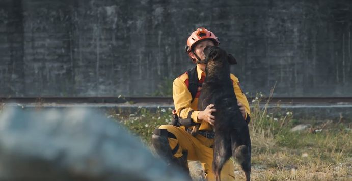 ▲搜救犬阿蘭（Lan）。（圖／粉專「Tyfd-K9桃園搜救犬隊、周欣維」授權提供，請勿隨意翻拍，以免侵權。）