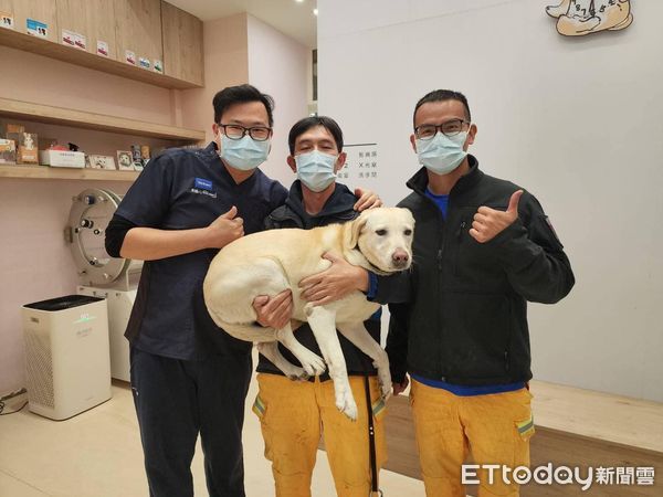 ▲留台搜救犬「醫院健檢」準備好隨時被教召！拉拉Nara緊張變飛機耳。（圖／粉專「Tyfd-K9桃園搜救犬隊」提供，請勿隨意翻拍，以免侵權。）