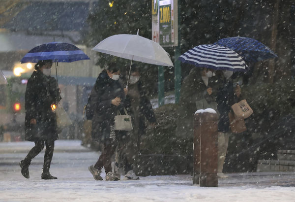 ▲▼日本東京下雪。（圖／達志影像／美聯社）