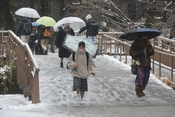 ▲▼日本大雪,東京大雪,2023年2月10日東京大雪。（圖／達志影像／美聯社）