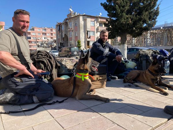 ▲又有搜救犬受傷！躺地伸直腿「棉花吸滿鮮血」　包紮畫面曝惹心疼。（圖／翻攝自Facebook／Rettungshundestaffel Traun）