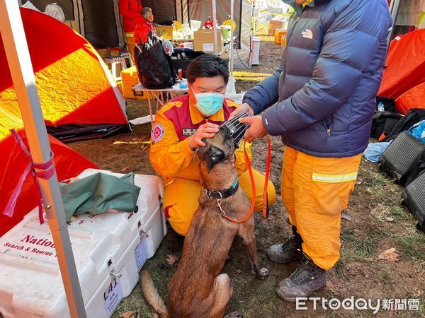 ▲醫替5台灣搜救犬「點名進廠檢修」　低溫6度蹲地撫摸：check良好。（圖／臺中GoGo - 狗狗 -臺中搜救犬提供）