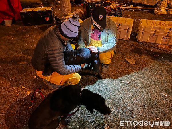 ▲醫替5台灣搜救犬「點名進廠檢修」　低溫6度蹲地撫摸：check良好。（圖／臺中GoGo - 狗狗 -臺中搜救犬提供）