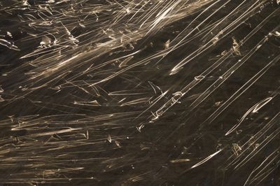 台人體內塑化劑「比歐美高7倍」!醫點名10大陷阱:傷腎還加速肥胖