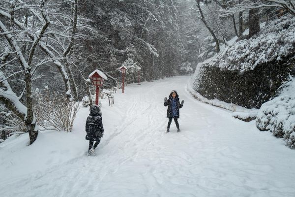 ▲▼日本大雪封路　蘋果西打險受困。（圖／翻攝自Facebook／蘋果vs西打欸阿木）