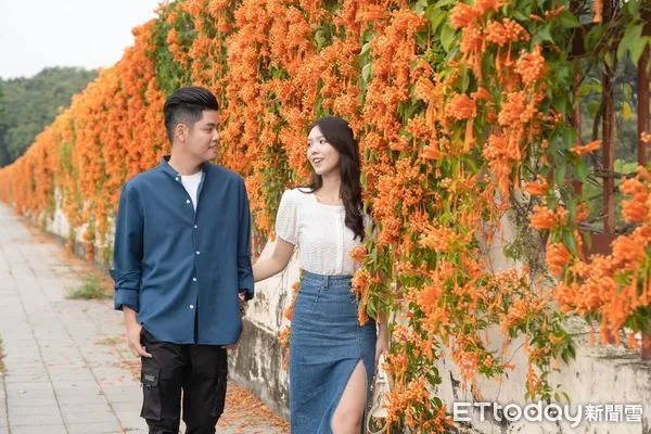 ▲▼  情人節嘉市新秘境 潮選花旅體驗橘色浪漫  。（圖／嘉義市政府提供）