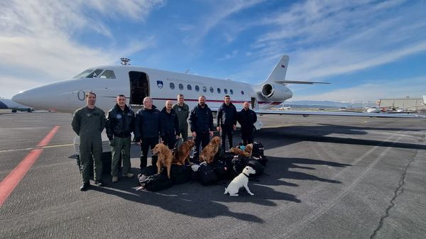 ▲▼任務結束從土耳其回國　6搜救犬趴小布布「機場睡翻」照片曝光。（圖／翻攝自Roman Starman臉書）