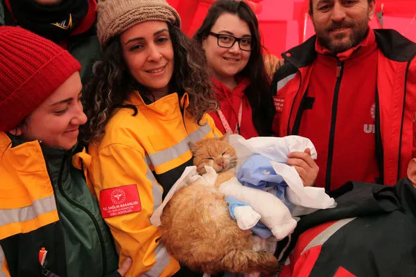 ▲土耳其強震，救難員救出貓貓。（圖／路透）