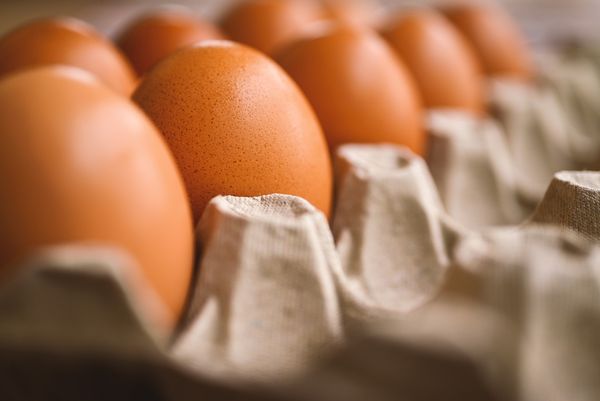 ▲▼ 雞蛋,蛋。（圖／取自免費圖庫Pixabay）