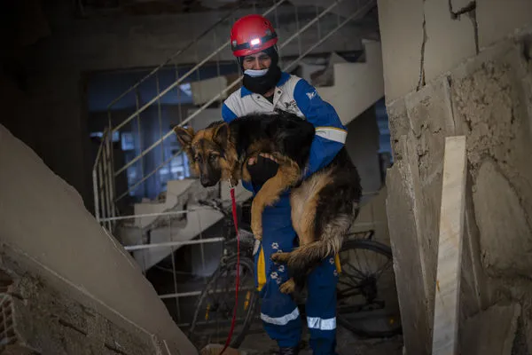 ▲▼土耳其動物福利組織HAYTAP在災區現場搶救生還動物。（圖／達志影像／美聯社）