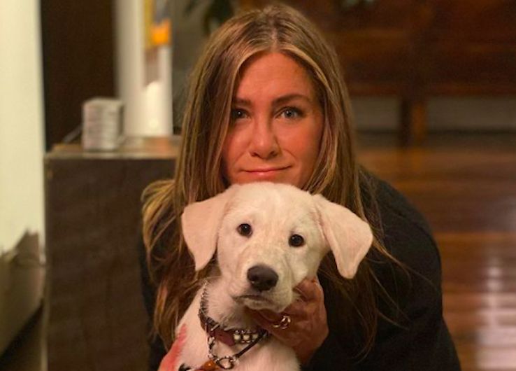 ▲▼六人行,珍妮佛安尼斯頓,健身,運動,保養,美容。（圖／翻攝自Jennifer Aniston IG）