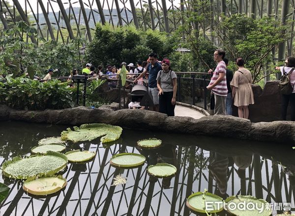 ▲台北市立動物園穿山甲館傳出男童摔入水池意外。（圖／記者楊惠琪攝）