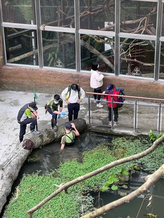 ▲▼快訊／國小男童校外教學「滑手機摔落水池」！　北市動物園回應了。（圖／台北市立動物園）