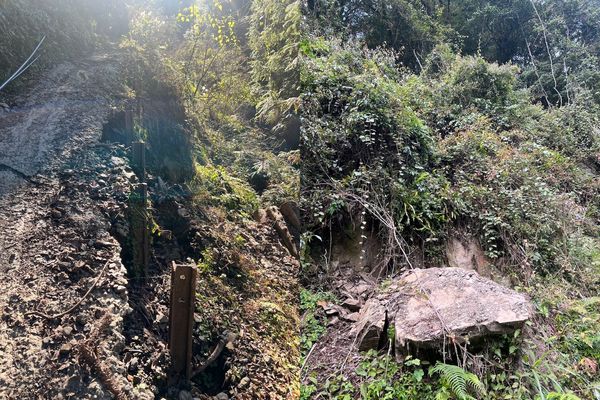 ▲▼大同鄉四季林道路基流失、上邊坡崩塌（上圖）及路面沖刷等。（圖／羅東林管處提供，下同）