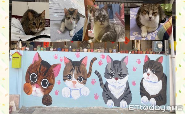 ▲驚見強者鄰居圍牆「畫出4隻大眼萌貓」　她路過萌暈：是各種花色。（圖／網友Kalen Lin提供，請勿隨意翻拍，以免侵權。）