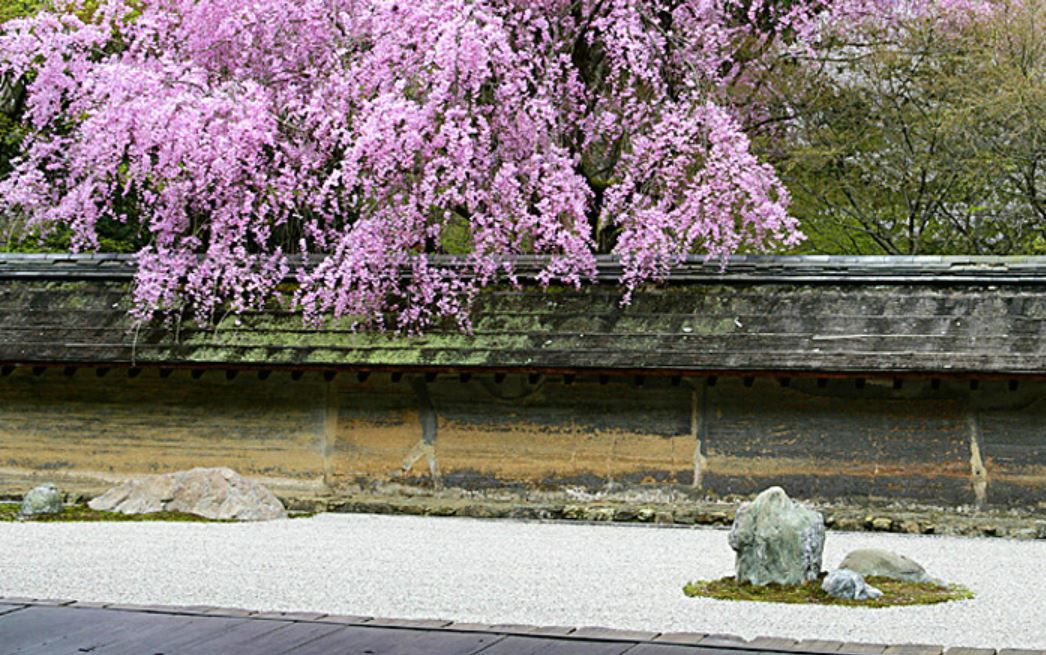 ▲▼龍安寺表示，鏡容池平時開放民眾自由進出。（圖／龍安寺）