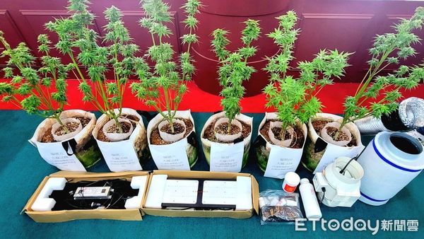 ▲▼花蓮警攻堅逮捕不法暴力集團計7嫌，並查扣西瓜刀、棍棒等刀械一批。（圖／花蓮縣警察局提供，下同）