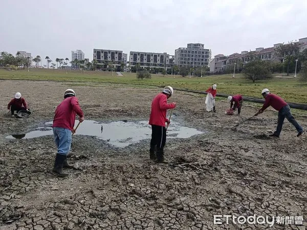 ▲台南善化區南科LM區蓮潭公園滯洪池受到缺水影響，潭底已整片乾涸乾裂，浮現大批死魚飄出臭味，市府派工前往現場清理出約400條魚屍。（圖／記者林悅翻攝，下同）