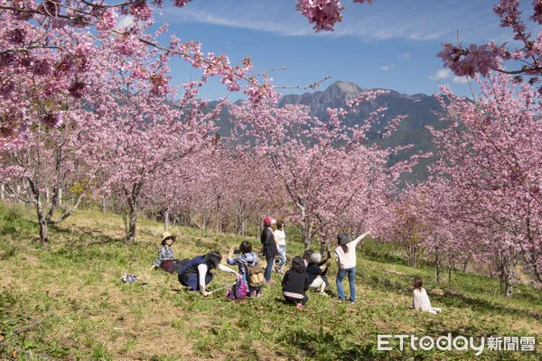 ▲▼             。（圖／記者李陳信得攝）