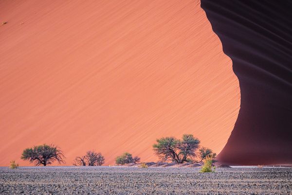 ▲▼納米比亞納米比粉紅沙漠是全世界最古老的沙漠及最高沙丘。（圖／佳繽旅遊提供）
