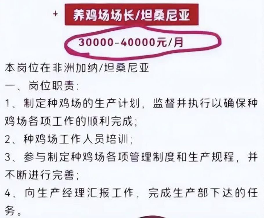 ▲陸企高薪招募養雞場場長，工作地點在非洲坦尚尼亞。（圖／翻攝微博）