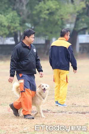 ▲▼搜救犬「Snow」退休啦！開心燦笑等家　領犬員暖曝：愛黏人抱大腿。（圖／新北市消防局提供）