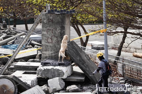 ▲台南市消防局搜救犬參加2023年IRO瓦礫堆搜救犬國際認證，成功通過檢測。（圖／記者林悅翻攝，下同）