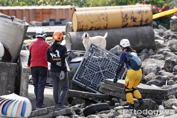 ▲台南市消防局搜救犬參加2023年IRO瓦礫堆搜救犬國際認證，成功通過檢測。（圖／記者林悅翻攝，下同）