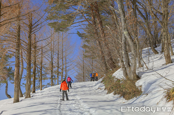 ▲▼兵庫神鍋高原自然學校雪地健行。（圖／記者蔡玟君攝）