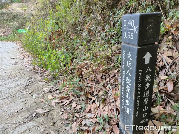 ▲「大坑8號步道路邊有蛋」放山雞蛋10顆100元。（圖／蔡姓網友提供）