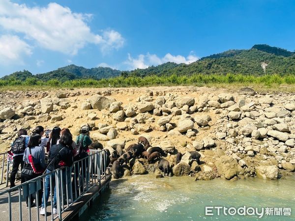 ▲▼ 嘉義縣推團體旅行獎勵金  。（圖／嘉義縣政府提供）