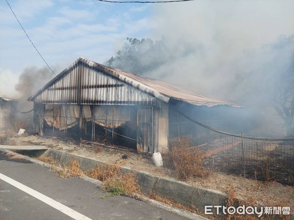 ▲台南市鹽水下寮26日下午發生雞舍火警，消防人員全力滅火。（圖／記者林悅翻攝，下同）