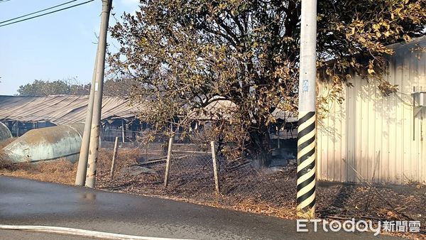 ▲台南市鹽水下寮26日下午發生雞舍火警，消防人員全力滅火。（圖／記者林悅翻攝，下同）