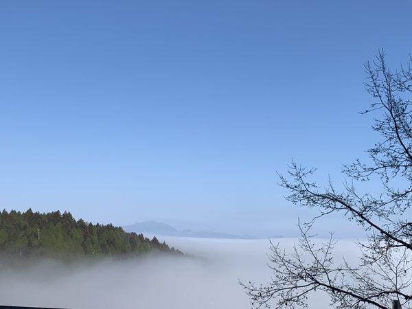 ▲▼太平山莊難得一見的雲瀑、雲海美景，加上漸融化的霧淞，都令遊客驚艷。（圖／羅東林管處提供，下同）