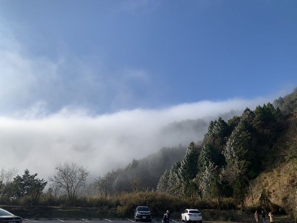 ▲▼太平山莊難得一見的雲瀑、雲海美景，加上漸融化的霧淞，都令遊客驚艷。（圖／羅東林管處提供，下同）