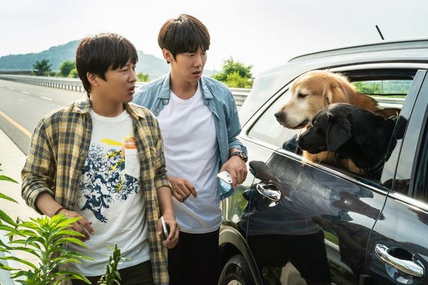▲柳演錫、車太鉉主演的《超完美狗保姆》將在3月10日上映。（圖／采昌提供）