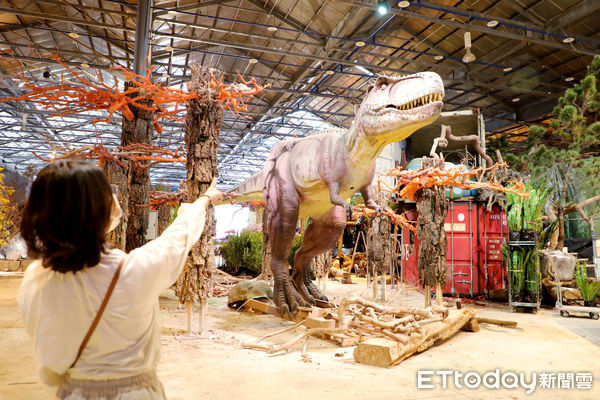▲2023台灣國際蘭展即將於3月4日開幕，五大展館之一的「主題館」除了展現蘭花品種的多樣性，並首度引進4隻遠古大型恐龍模型入展。（圖／記者林悅翻攝，下同）