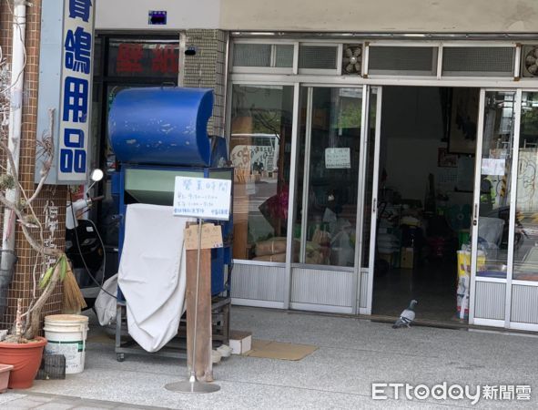 ▲老闆在嘛？賽鴿店門口來了「可愛小稀客」超爆笑　友人曝暖心原因。（圖／網友Tsai Letom提供，請勿隨意翻拍，以免侵權。）