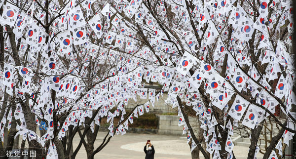 ▲▼三一節前夕，南韓首爾孝昌公園樹枝內掛滿太極旗。（圖／CFP）