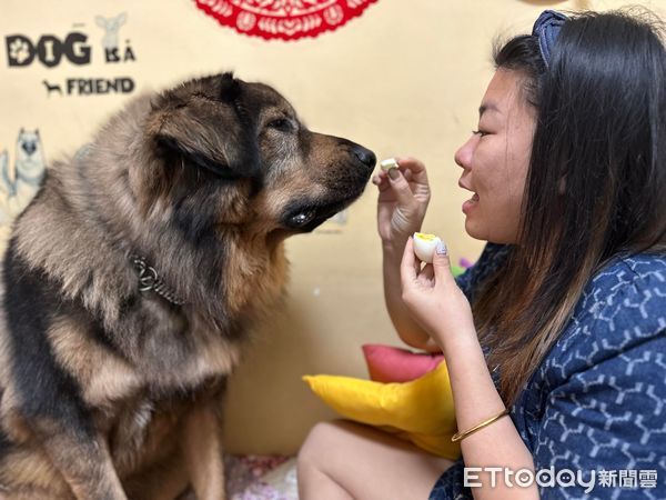 ▲常遇粉絲問：如何把高加索個性拿掉？　媽「霸氣回覆」曝疼愛日常。（圖／粉專「毛手毛腳」提供，請勿隨意翻拍，以免侵權。）